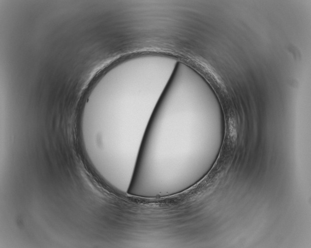 X0000113070588200908281012