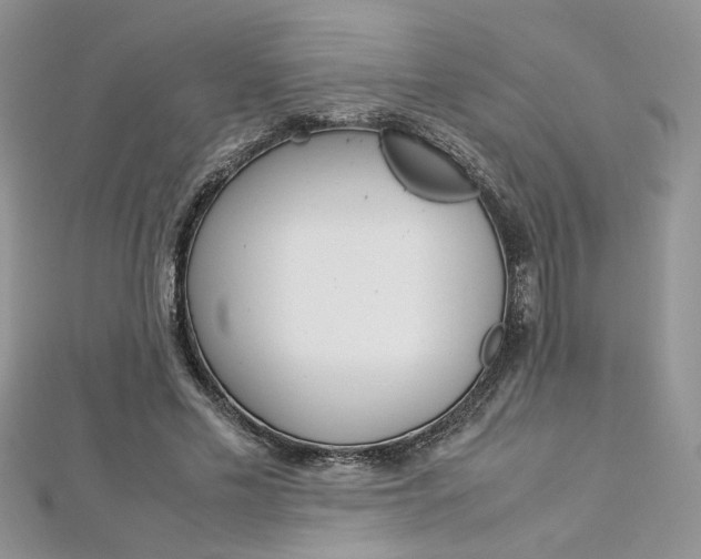 X0000113070589200908281012