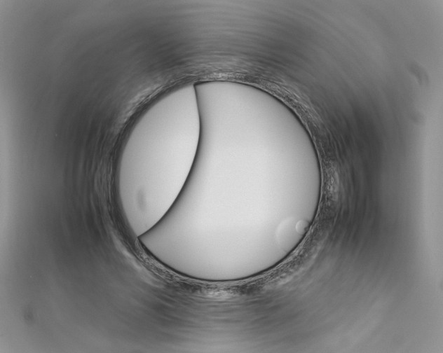 X0000113070590200908281012