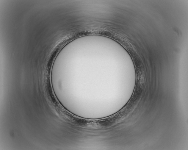 X0000113070591200908281012