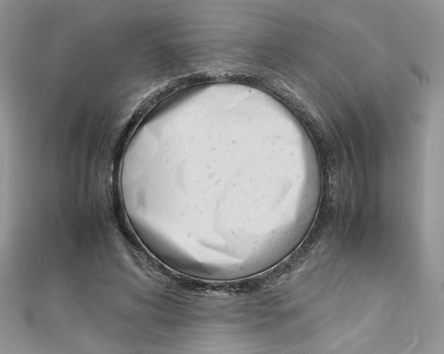 X0000113070592200908281012