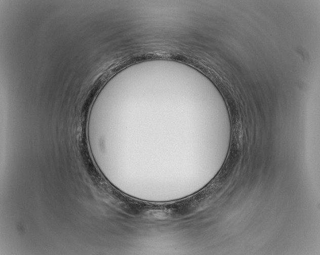 X0000113070595200908281012