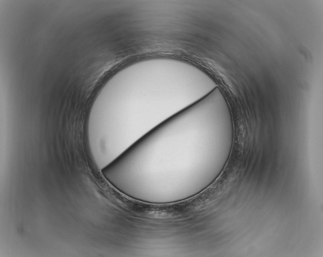 X0000113070596200908281012