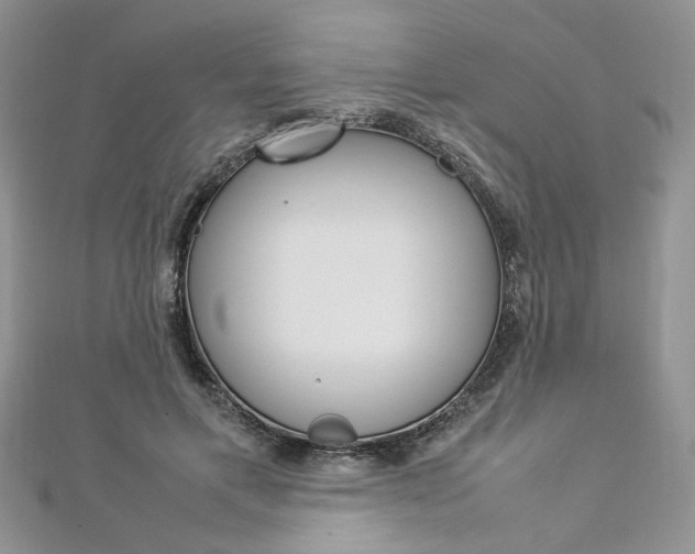 X0000113070597200908281012