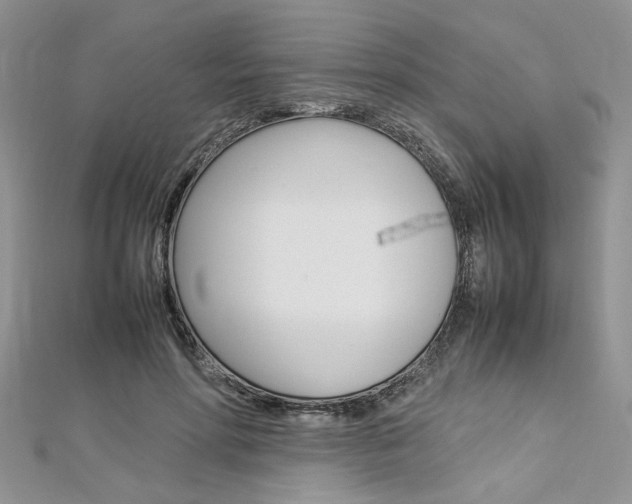 X0000113070598200908281012