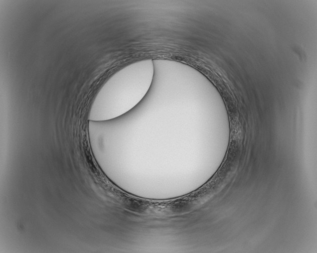 X0000113070599200908281012
