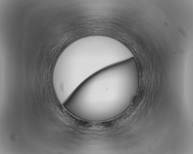 X0000113070601200908281012