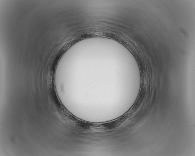 X0000113070603200908281012