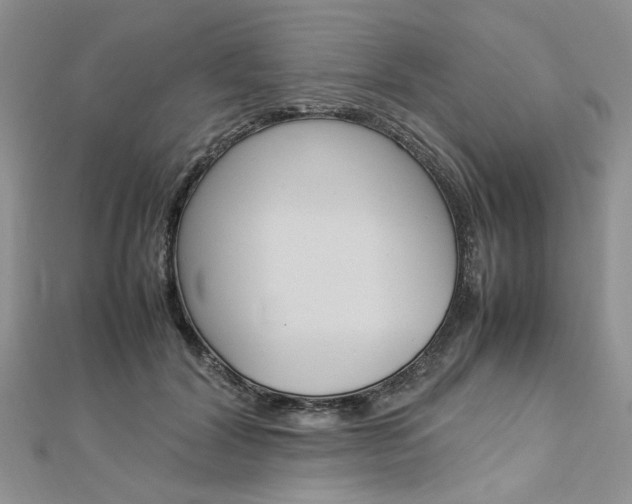 X0000113070604200908281012