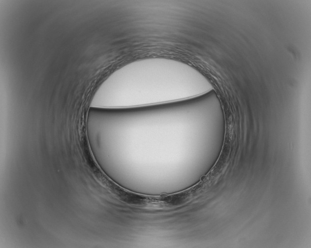 X0000113070605200908281012