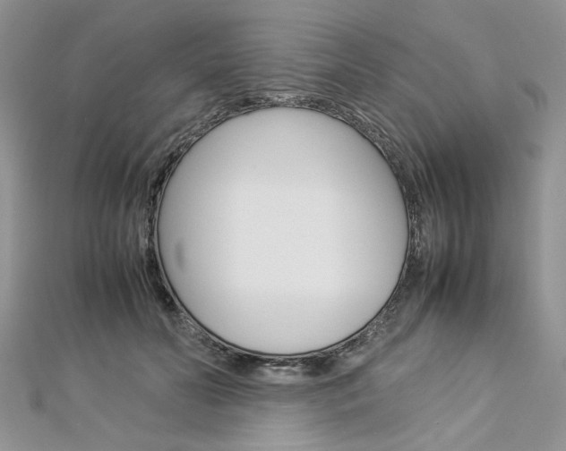 X0000113070606200908281012