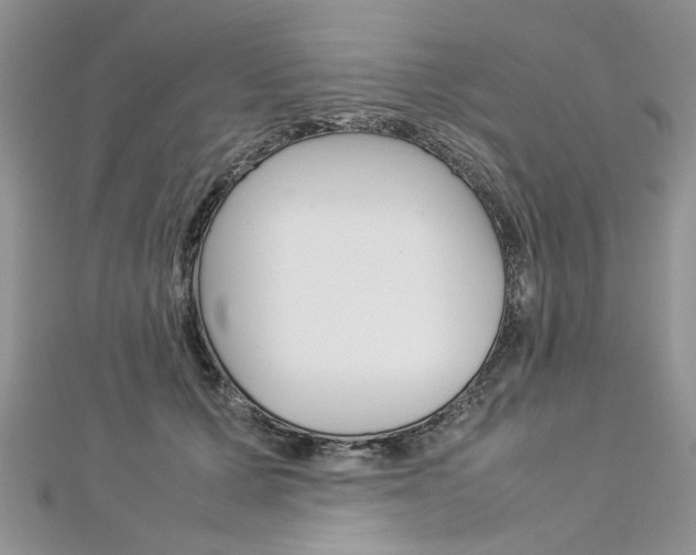 X0000113070607200908281012