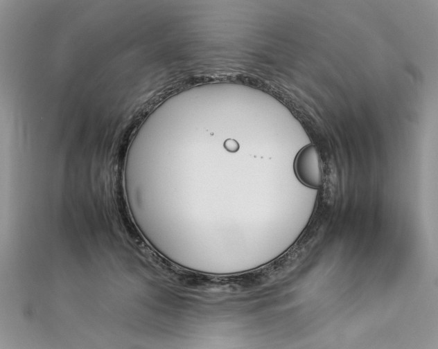 X0000113070608200908281012