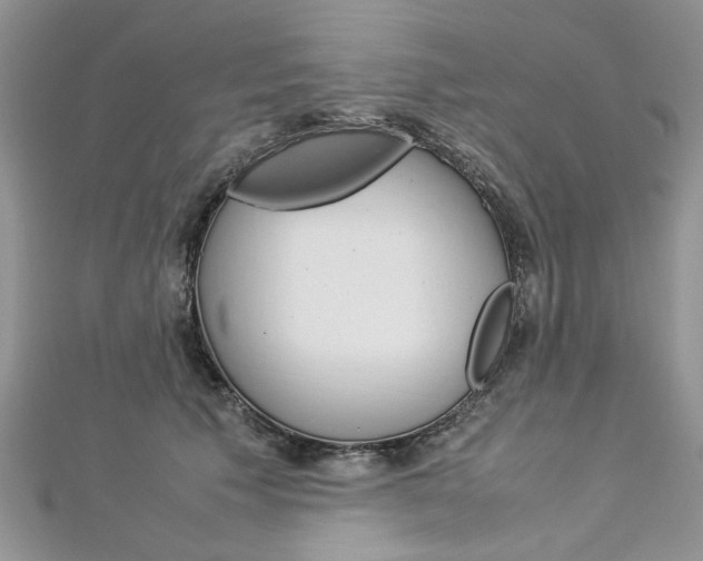 X0000113070609200908281012