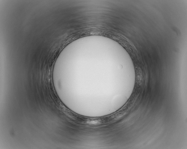 X0000113070610200908281012
