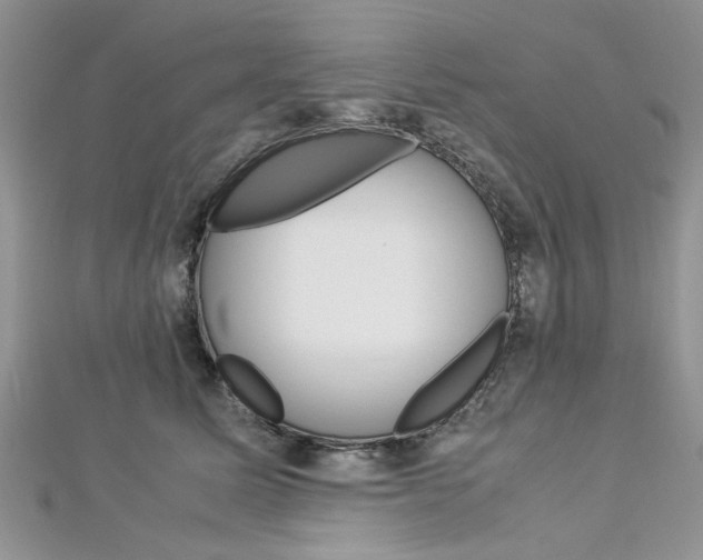 X0000113070611200908281012