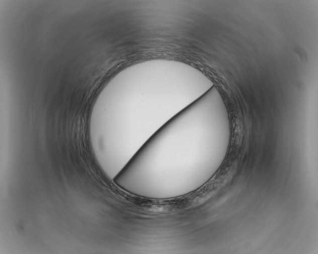 X0000113070612200908281012