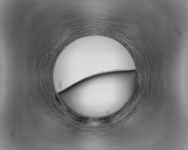 X0000113070613200908281012