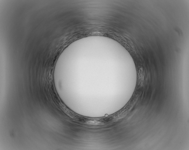 X0000113070614200908281012