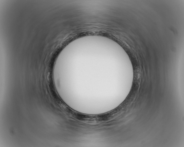 X0000113070615200908281012