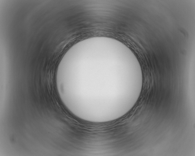 X0000113070616200908281012