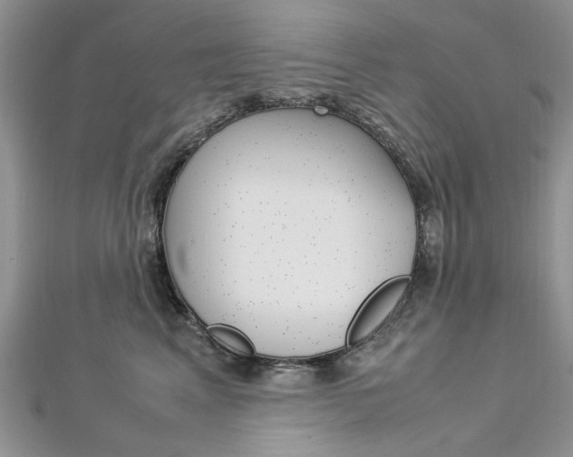 X0000113070617200908281011