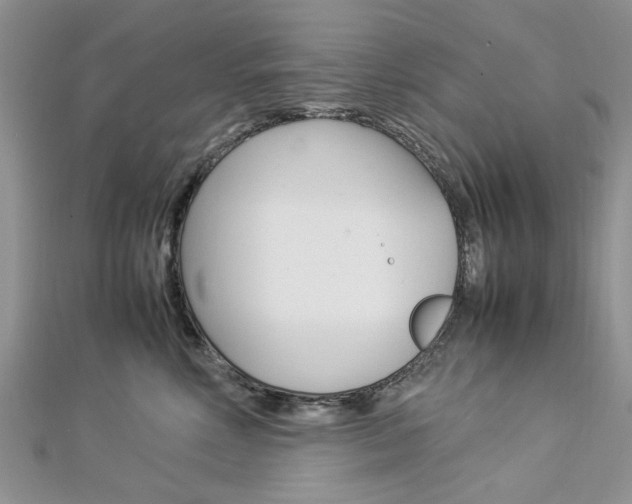 X0000113070618200908281011