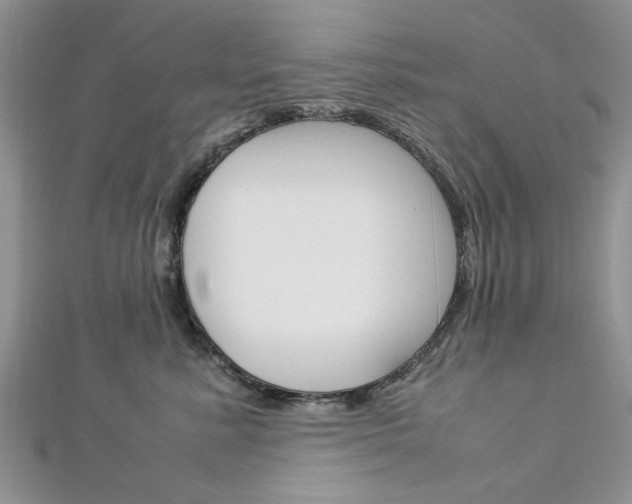 X0000113070619200908281011