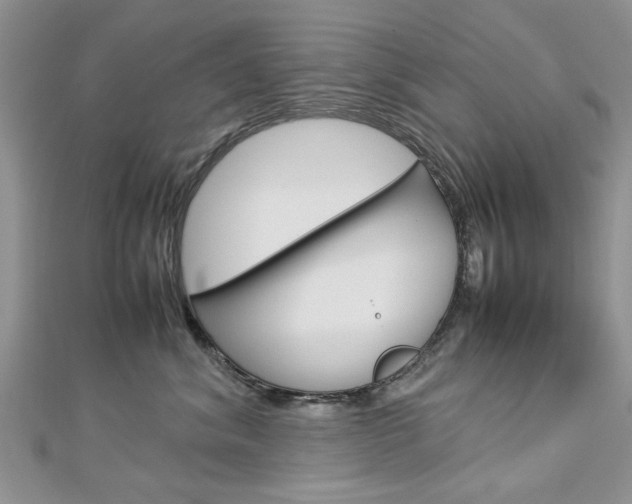 X0000113070620200908281011
