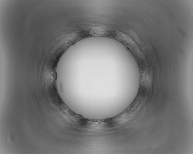 X0000113070621200908281011