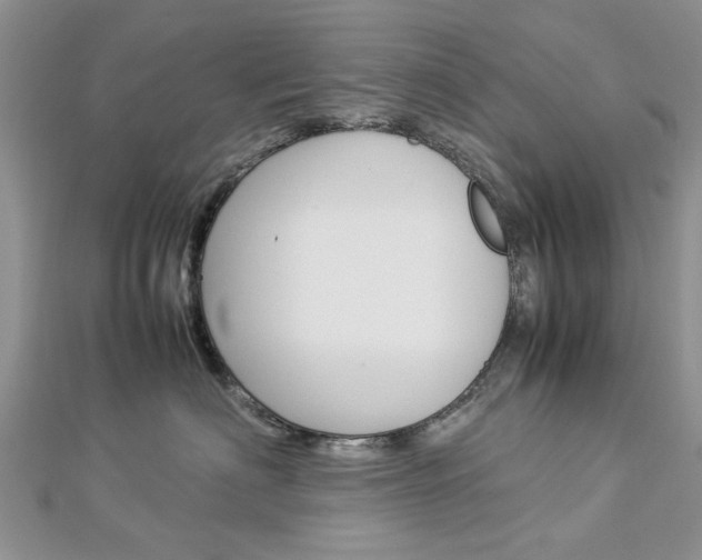 X0000113070622200908281011