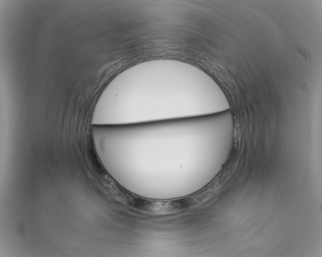 X0000113070623200908281011