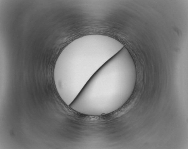 X0000113070624200908281011
