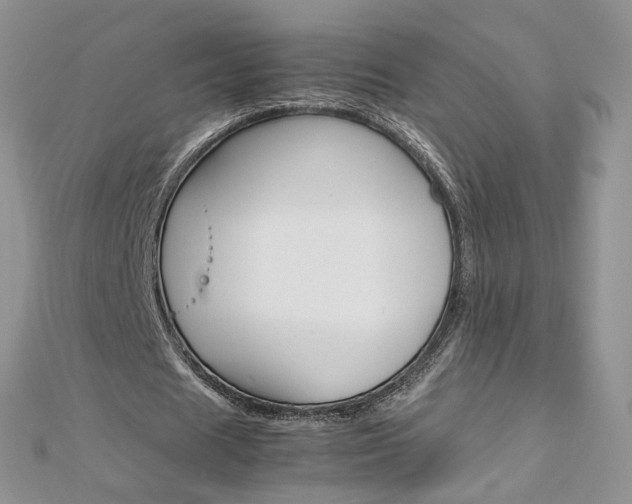 X0000113070625200908281011