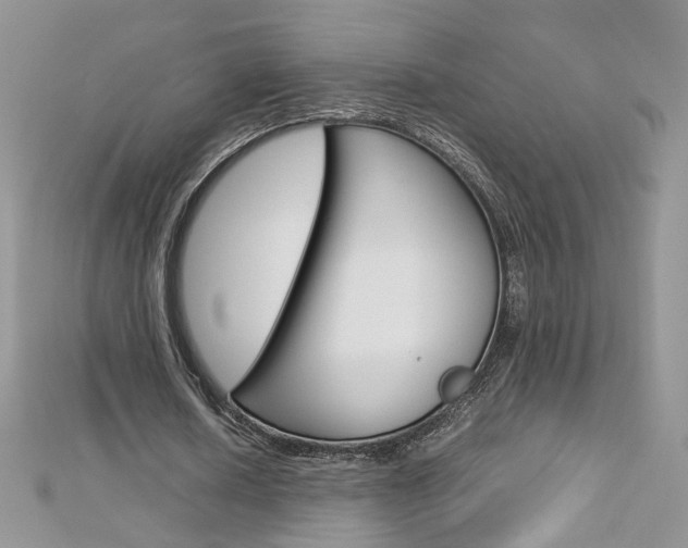X0000113070626200908281011