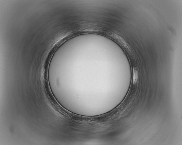 X0000113070627200908281011