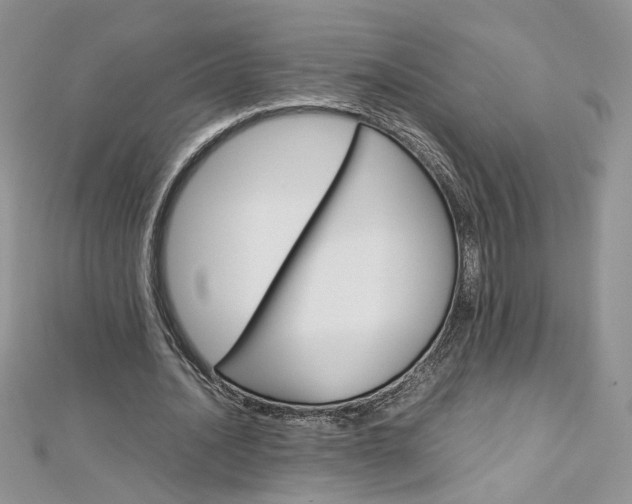 X0000113070628200908281011