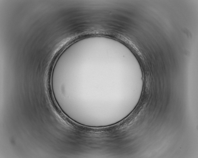 X0000113070629200908281011