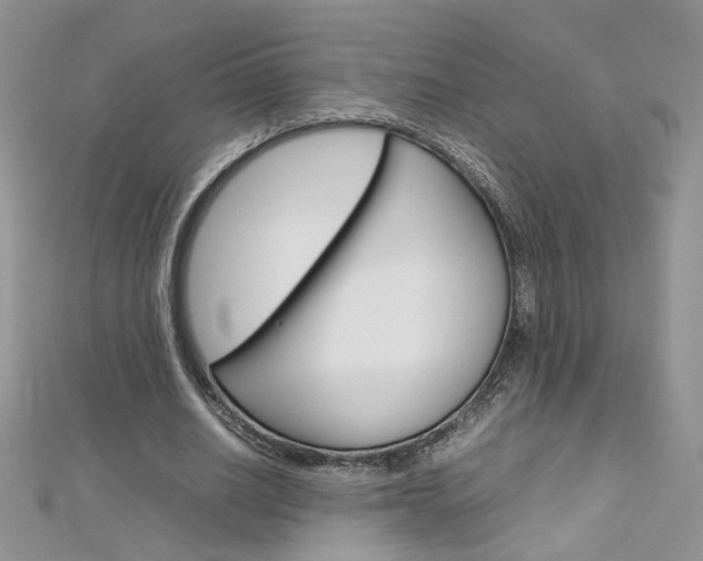 X0000113070630200908281011