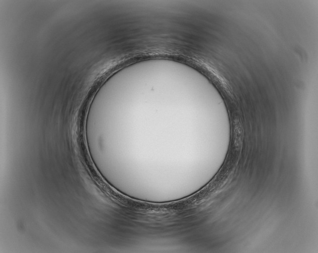 X0000113070631200908281011