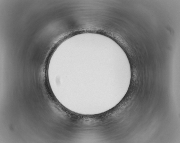 X0000113070632200908281011