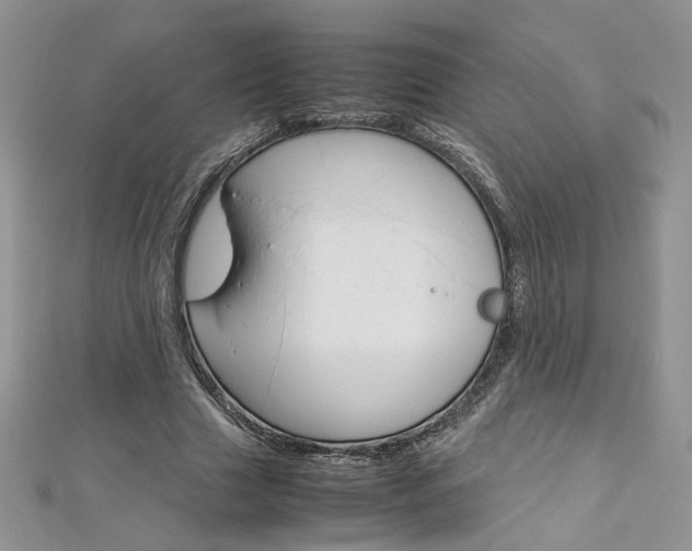 X0000113070633200908281011