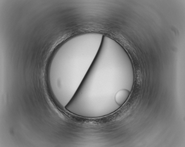 X0000113070634200908281011