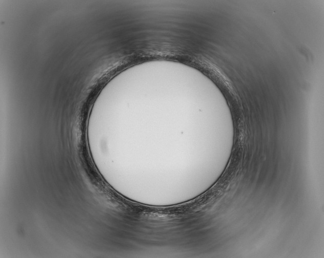 X0000113070635200908281011