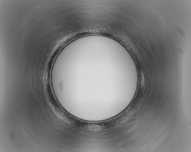 X0000113070636200908281011