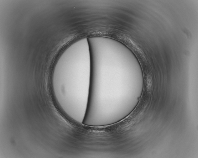 X0000113070637200908281011