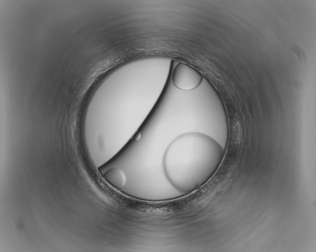 X0000113070638200908281011