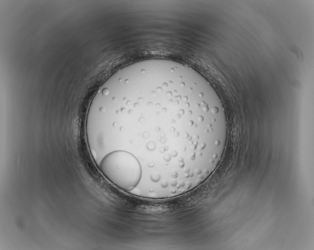 X0000113070639200908281011