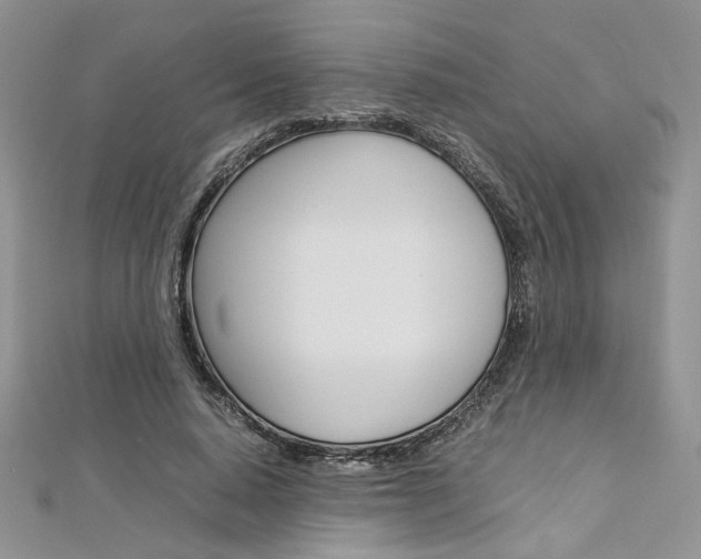 X0000113070640200908281011