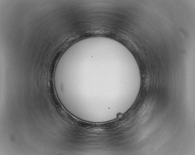 X0000113070643200908281011